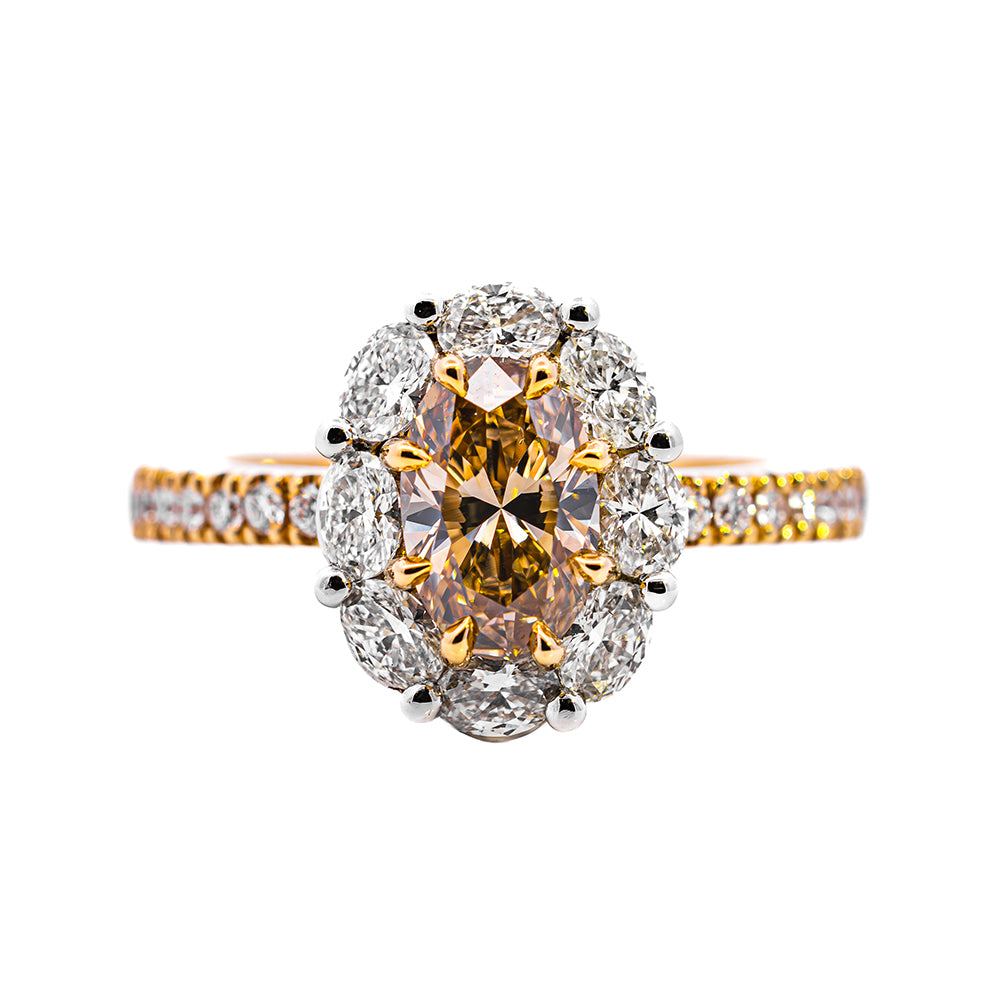 Oval champagne diamond ring with a white diamond halo on a yellow gold diamond band, NY2K Jewellers, Maroochydore