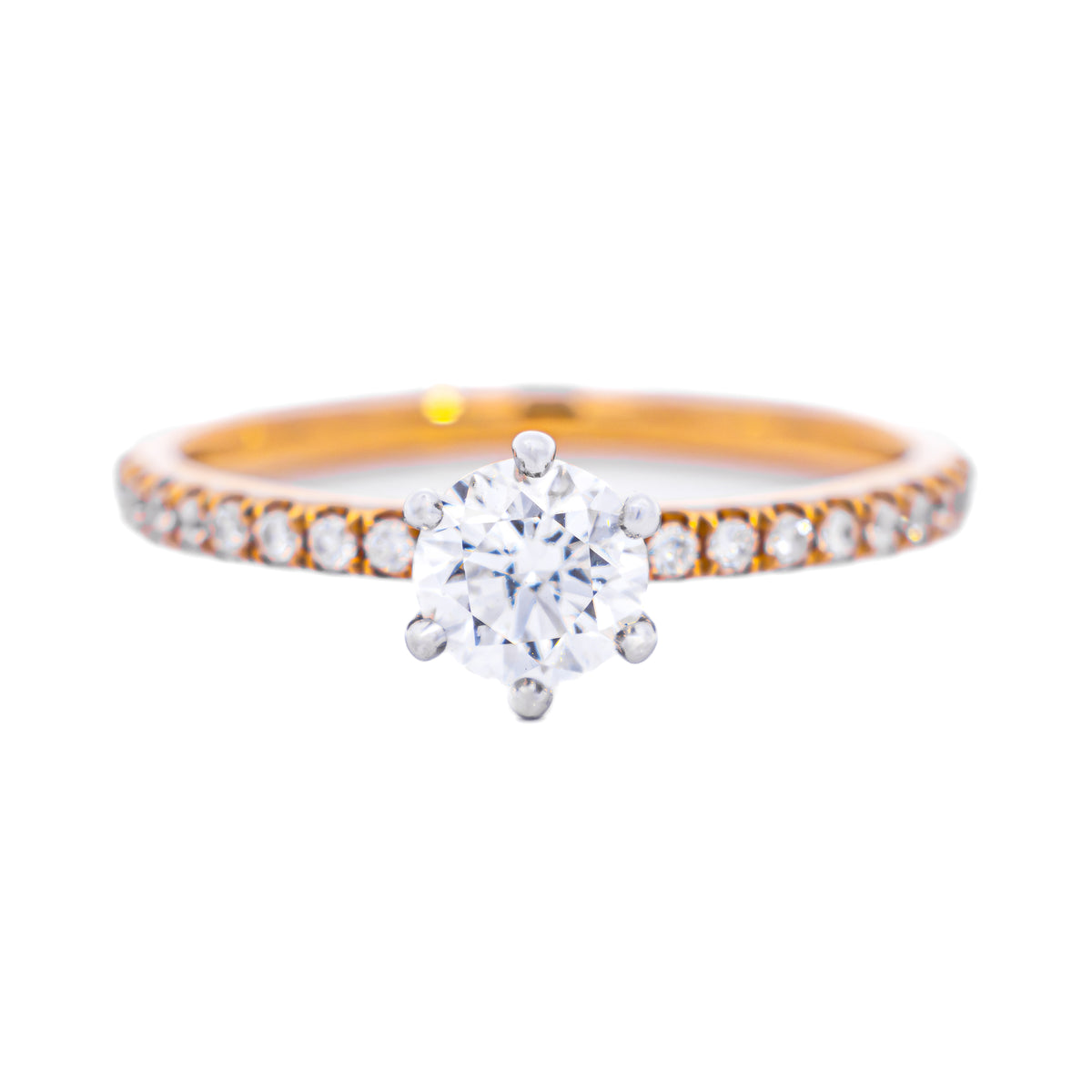 Round brilliant diamond solitaire ring on a rose gold diamond-set band, NY2K Jewellers, Maroochydore