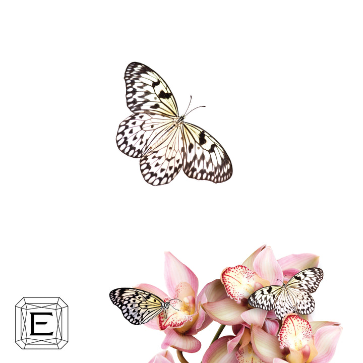 "DESERT ROSE" PINK ARGYLE DIAMOND EARRINGS